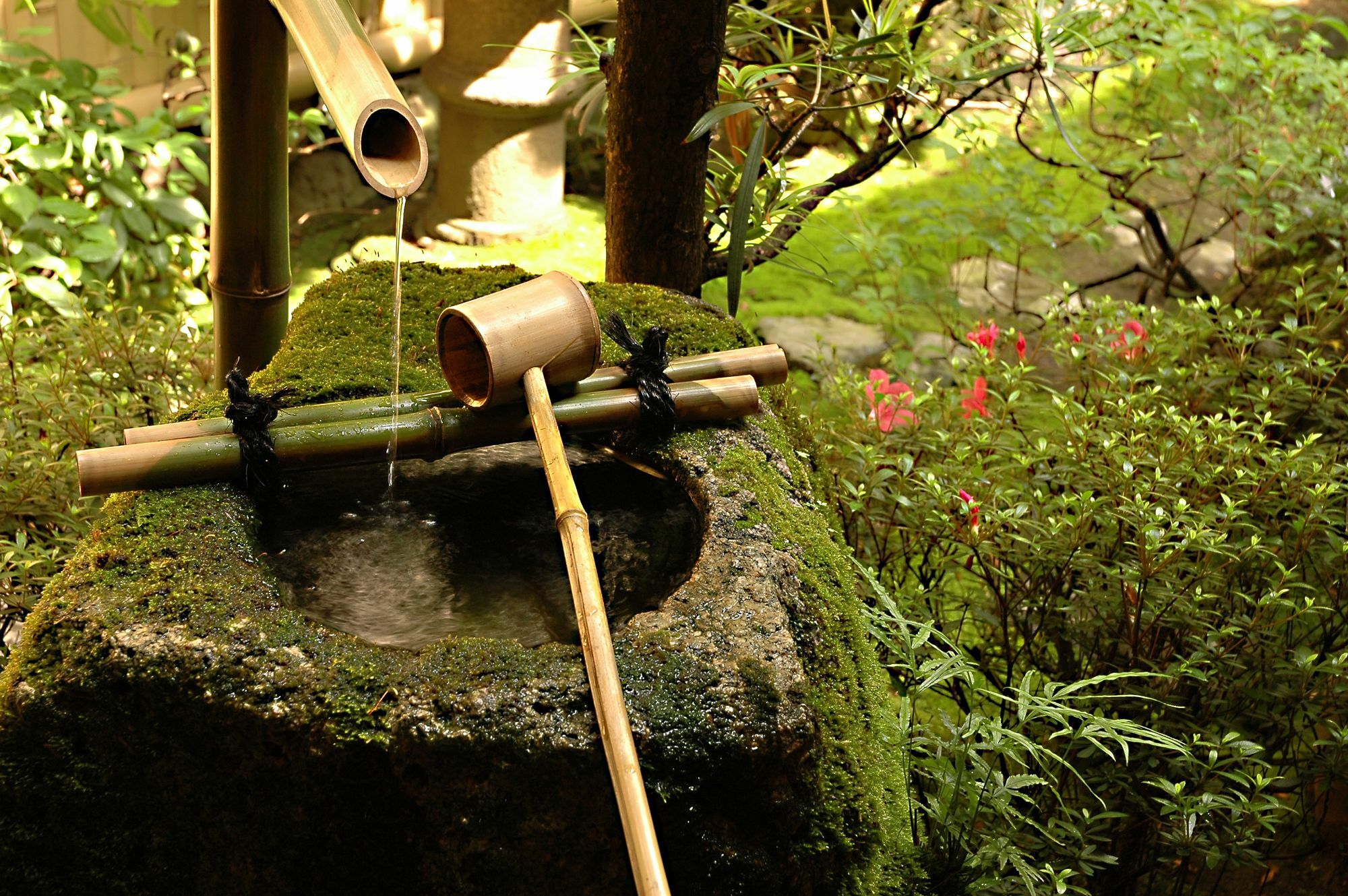 Ryokan Motonago Kyoto Dış mekan fotoğraf